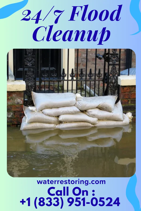 24/7 Flood Cleanup in Steeleville, IL