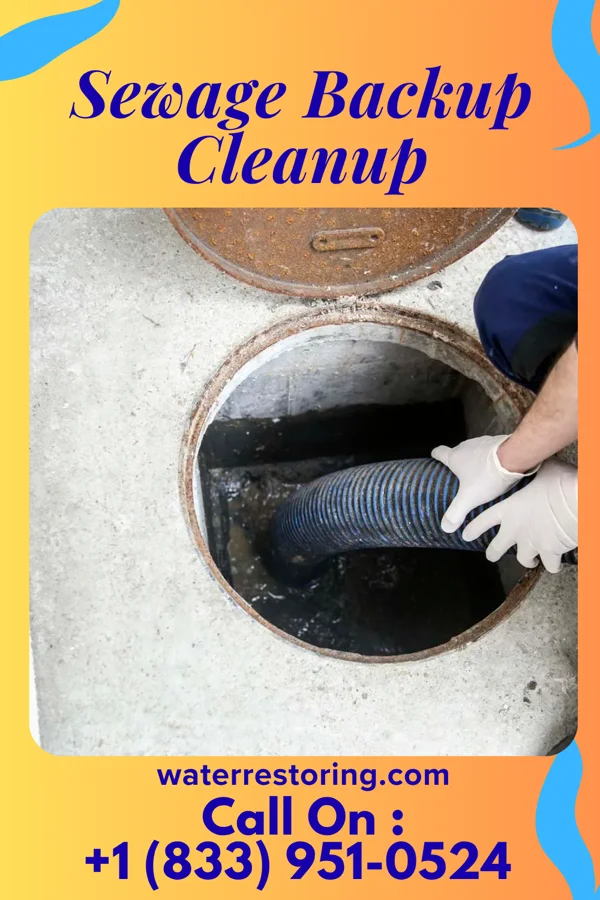 Sewage Backup Cleanup in Steeleville, IL
